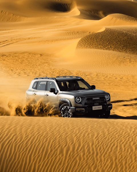 Estrategia Accelerate+